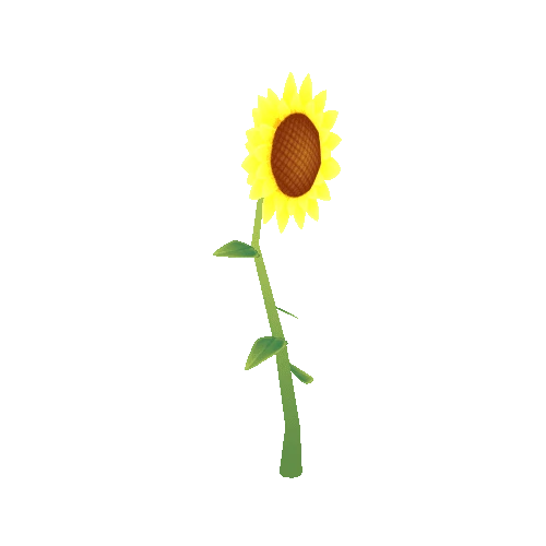 Sun Flower